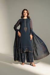 3 Piece Chiffon Embroidered Suit (FL0141)