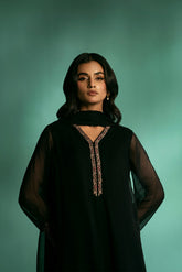 3 Piece Chiffon Embroidered Suit (FS0020)