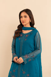 2 Piece Chiffon Embroidered (FS0029)