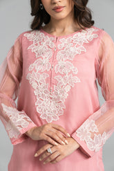 2 Piece Organza Embroidered Suit (FS0035)