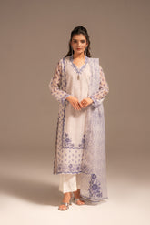 2 Piece Zari Net Print Embroidered Suit (FS0051)