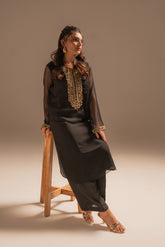 2 Piece Chiffon Embroidered Suit (FS0053)