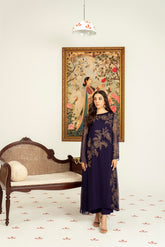 2 Piece Chiffon Embroidered Suit (FS0055)