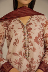 3 Piece Net Embroidered Suit (FS0060)