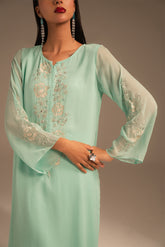 2 Piece Chiffon Embroidered Suit (FS0067)