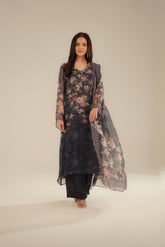 3 Piece Chiffon Printed Suit (FS0106)