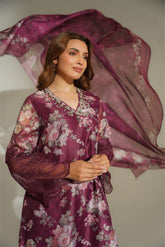 3 Piece Net Print Embroidered Suit (FS0140)