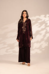 2 Piece Velvet Embroidered Suit (FV0006)