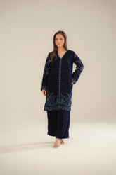 2 Piece Velvet Embroidered Suit (FV0009)