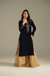 1 Piece Velvet Embroidered Shirts (FV0013)