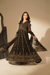 2 Piece Chiffon Embroidered Suit (FW0017)