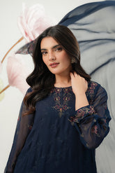 3 Piece Chiffon Embroidered Suit (FW0024)
