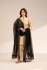 1 Piece Chiffon Embroidered Dupattas/Stoles (FD0064)