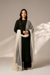 1 Piece Chiffon Embroidered Dupattas/Stoles (FD0067)