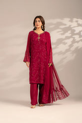 3 Piece Chiffon Embroidered Suit (FL0076)