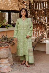 3 Piece Lawn Embroidered Suit (CS0038)