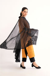 1 Piece Chiffon Embroidered Dupatta (AA5456)