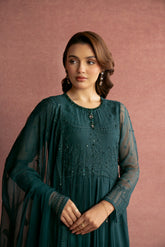 2 Piece Chiffon Embroidered Suit (AW0014)