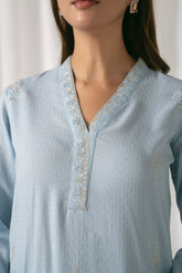 2 Piece Net Embroidered Suit (CS0067)