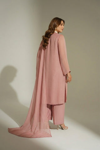 3 Piece Chiffon Embroidered Suit (FL0169)