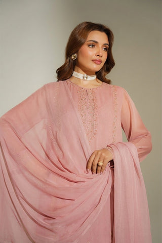 3 Piece Chiffon Embroidered Suit (FL0169)