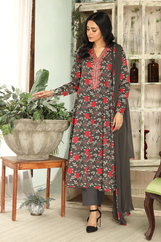 3 Piece Grey Embroidered Suit (DU0420)
