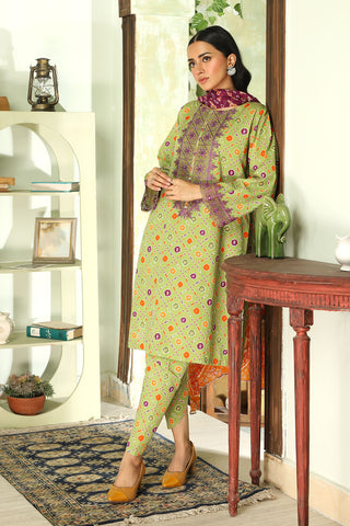 3 Piece Parrot Embroidered Suit (DU0421)