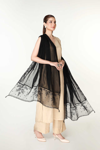 1 Piece Chiffon Embellished Dupatta  (AA5399)