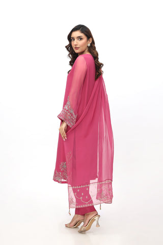 3 Piece Chiffon Embellished Suit  (AA5401)