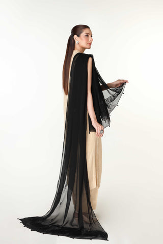 1 Piece Chiffon Embellished Dupatta  (AA5404)