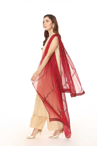1 Piece  Chiffon Embroidered Dupatta (AA5439)