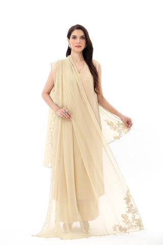 1 Piece Chiffon Embroidered Dupatta (AA5443)