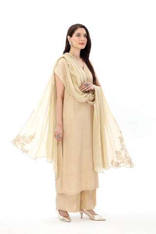 1 Piece Chiffon Embroidered Dupatta (AA5443)