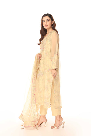 3 Piece Organza Embroidered Suit (AP0027)