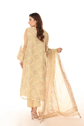 3 Piece Organza Embroidered Suit (AP0027)