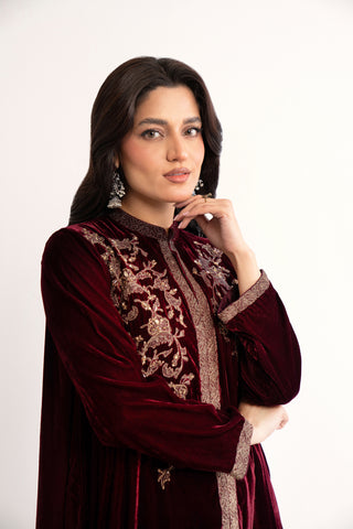 2 Piece Velvet Embroidered Suit (AV0035)