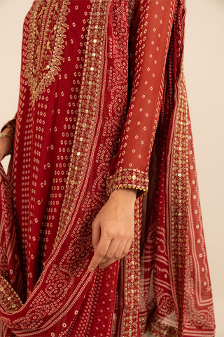3 Piece Printed Chiffon Embroidered Suit (FL0004)