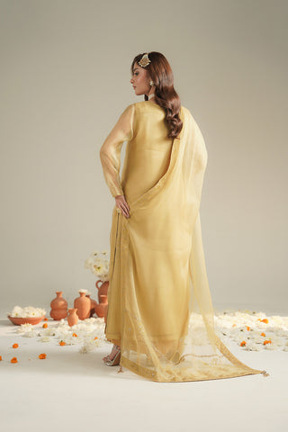 3 Piece Organza Embroidered Unstitched Suit (UF0042)