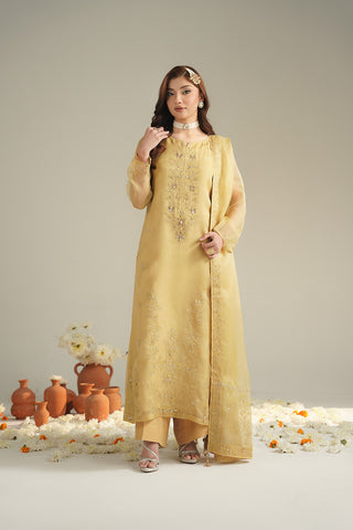 3 Piece Organza Embroidered Unstitched Suit (UF0042)