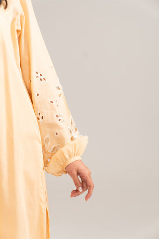2 Piece Lawn Embroidered Suit (CP0071)