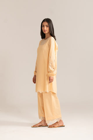 2 Piece Lawn Embroidered Suit (CP0071)