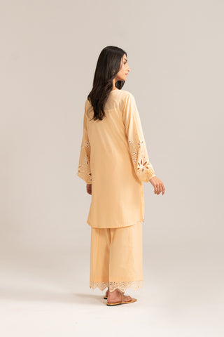2 Piece Lawn Embroidered Suit (CP0071)