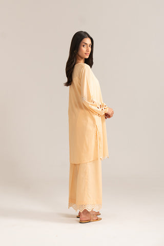 2 Piece Lawn Embroidered Suit (CP0071)