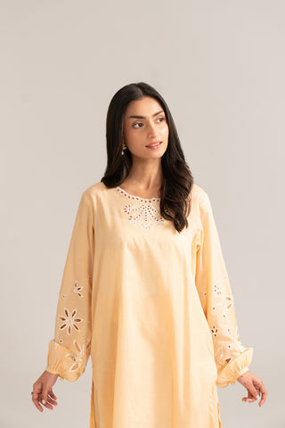 2 Piece Lawn Embroidered Suit (CP0071)