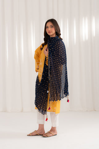 1 Piece Chiffon Printed (CD0003)