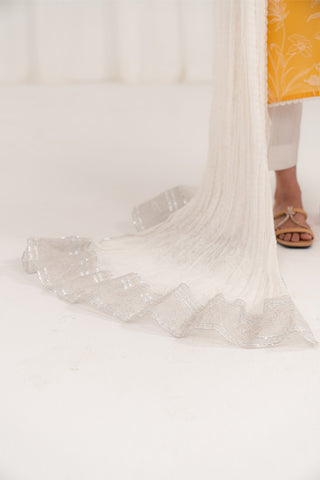 1 Piece Chiffon Embroidered (CD0005)