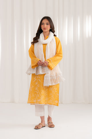 1 Piece Chiffon Embroidered (CD0005)