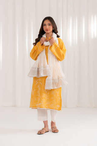 1 Piece Chiffon Embroidered (CD0005)