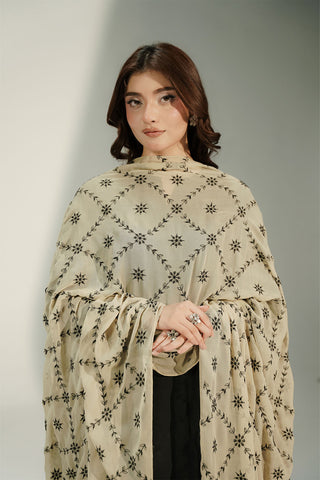 1 Piece Chiffon Embroidered Dupatta (CD0015)