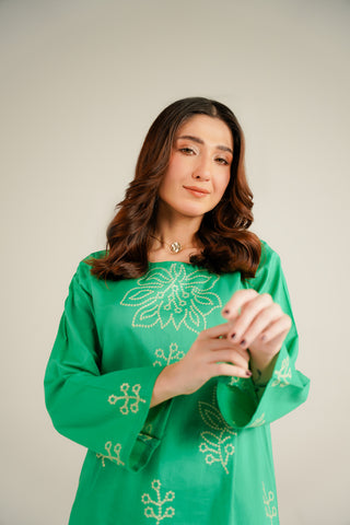 2 Piece Lawn Embroidered Bottom (CF0161)